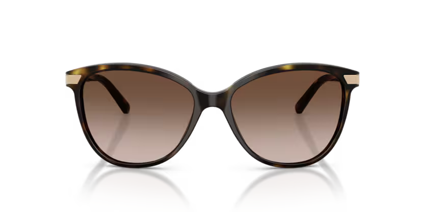 Burberry 0BE4216 300213 57mm Sunglasses