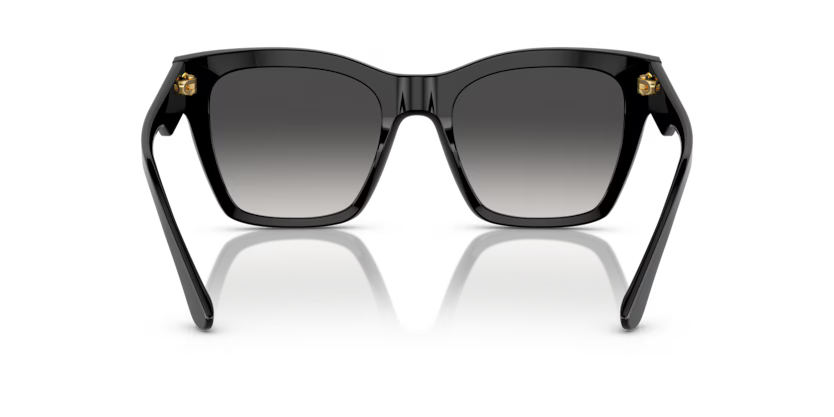 Dolce & Gabbana 0DG4384 501/8G 53mm Sunglasses