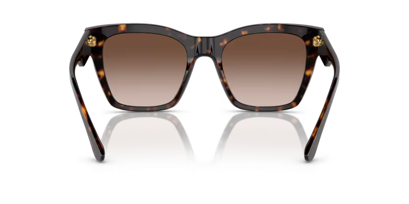 Dolce & Gabbana 0DG4384 502/13 53mm Sunglasses