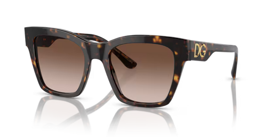 Dolce & Gabbana 0DG4384 502/13 53mm Sunglasses