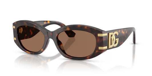 Dolce & Gabbana 0DG4502 502/73 55mm Sunglasses