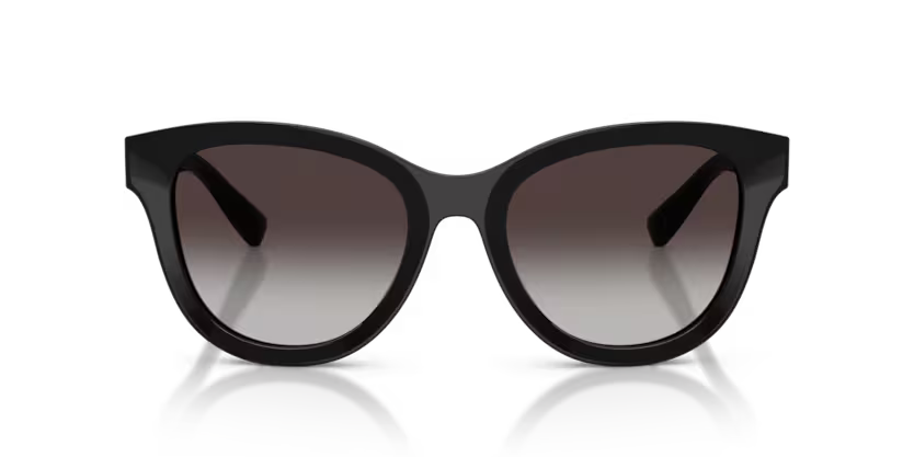 Dolce & Gabbana 0DG4533 501/8G 54mm Sunglasses