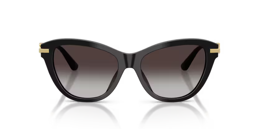 Dolce & Gabbana 0DG4534 501/8G 53mm Sunglasses