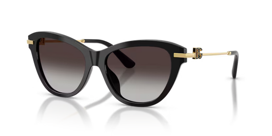 Dolce & Gabbana 0DG4534 501/8G 53mm Sunglasses