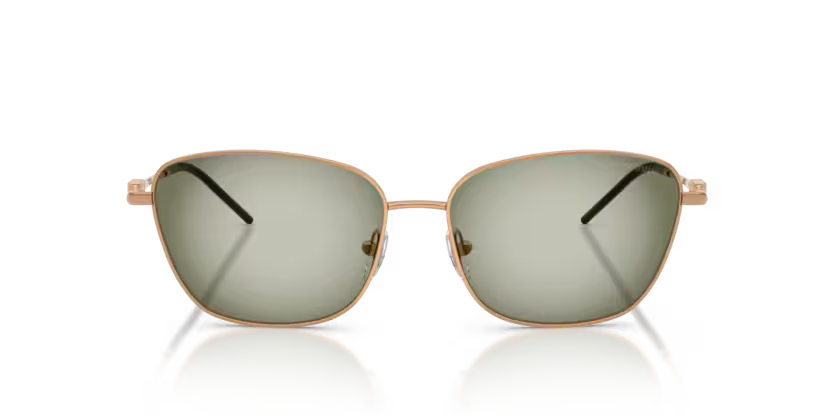 Emporio Armani 0EA2170 342713 57mm Sunglasses