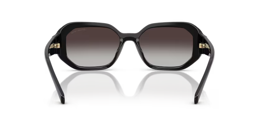 Michael Kors 0MK2240U 30058G 54mm Sunglasses