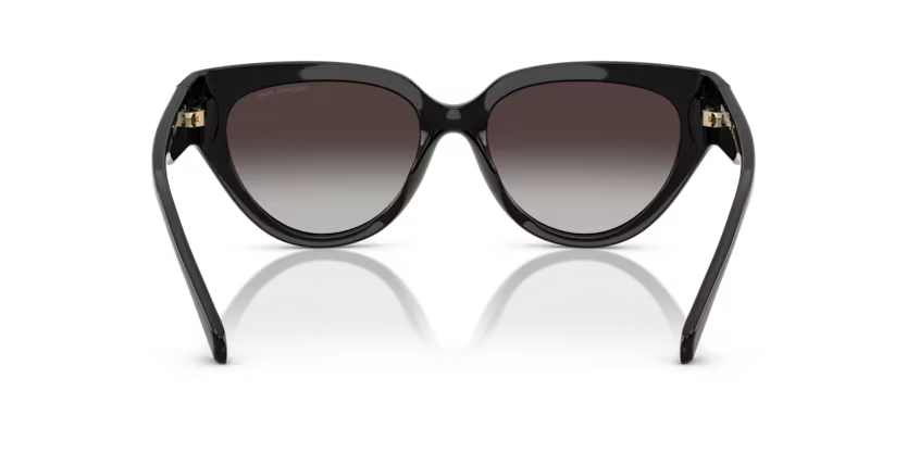 Michael Kors 0MK2241U 30058G 55mm Sunglasses