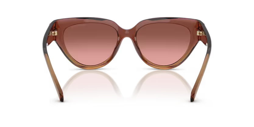 Michael Kors 0MK2241U 325611 55mm Sunglasses