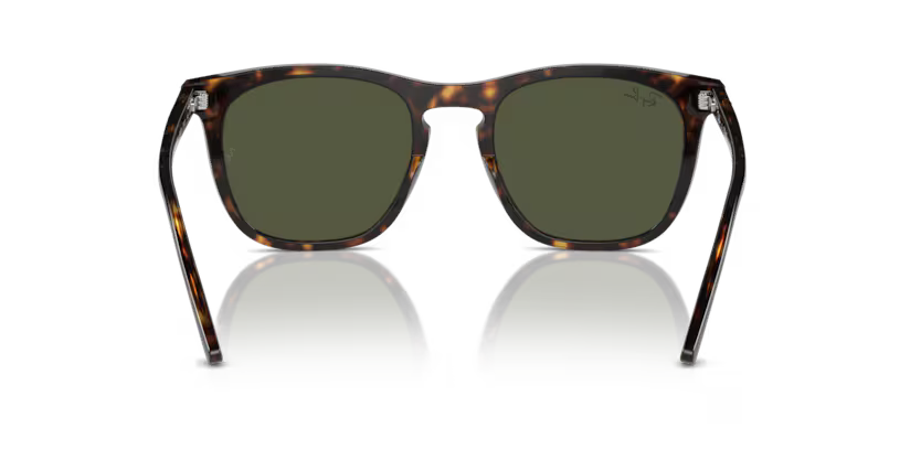 Ray-Ban 0RB2210 902/31 53mm Sunglasses