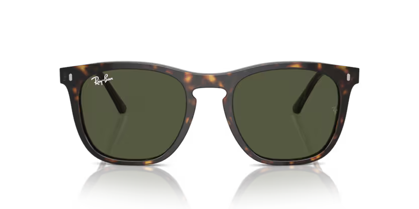 Ray-Ban 0RB2210 902/31 53mm Sunglasses