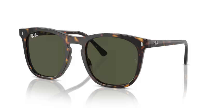 Ray-Ban 0RB2210 902/31 53mm Sunglasses
