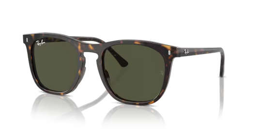 Ray-Ban 0RB2210 902/31 53mm Sunglasses
