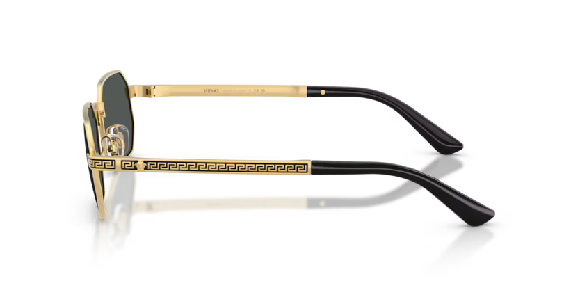 Versace 0VE2297 100287 54mm Sunglasses
