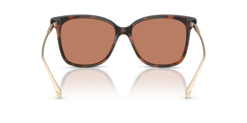 Versace 0VE4507U 108/73 57mm Sunglasses